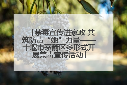 禁毒宣传进家政 共筑防毒“她”力量——十堰市茅箭区多形式开展禁毒宣传活动