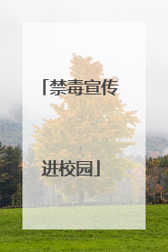 禁毒宣传进校园