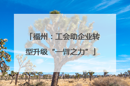 福州：工会助企业转型升级“一臂之力”
