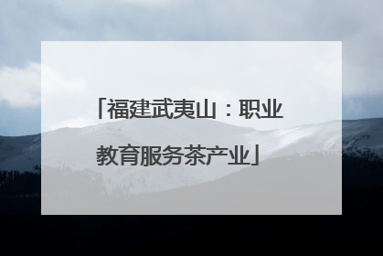 福建武夷山：职业教育服务茶产业