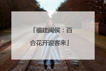福建闽侯：百合花开迎客来