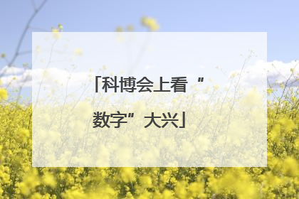 科博会上看“数字”大兴