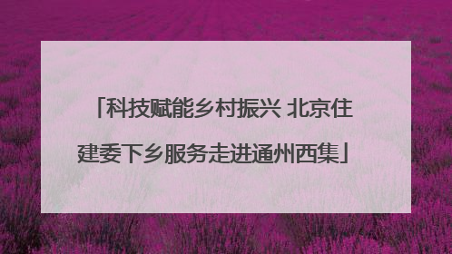 科技赋能乡村振兴 北京住建委下乡服务走进通州西集