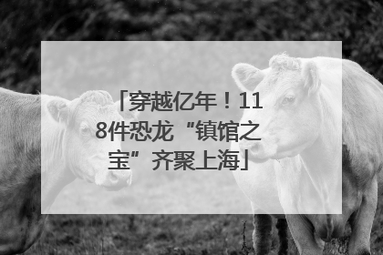 穿越亿年！118件恐龙“镇馆之宝”齐聚上海