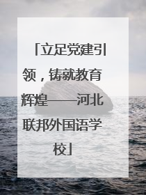立足党建引领，铸就教育辉煌——河北联邦外国语学校