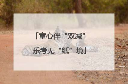 童心伴“双减” 乐考无“纸”境