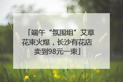 端午“氛围组”艾草花束火爆，长沙有花店卖到98元一束