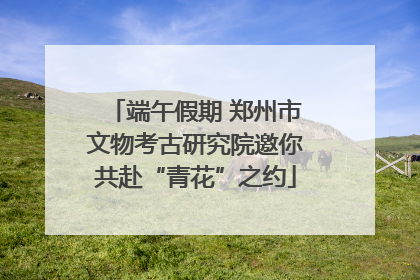 端午假期 郑州市文物考古研究院邀你共赴“青花”之约