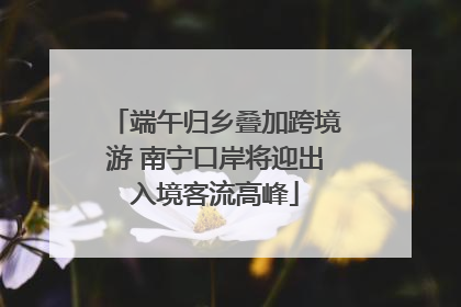 端午归乡叠加跨境游 南宁口岸将迎出入境客流高峰