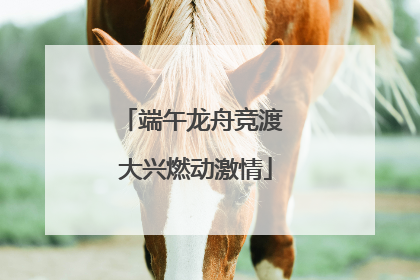 端午龙舟竞渡 大兴燃动激情