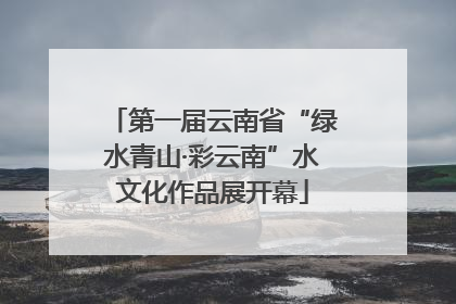 第一届云南省“绿水青山·彩云南”水文化作品展开幕