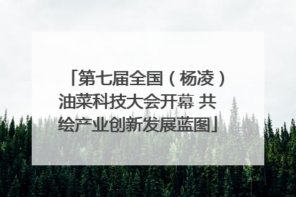 第七届全国（杨凌）油菜科技大会开幕 共绘产业创新发展蓝图