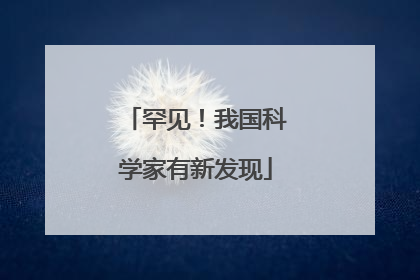 罕见！我国科学家有新发现