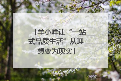 羊小咩让“一站式品质生活”从理想变为现实