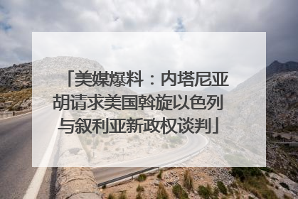 美媒爆料：内塔尼亚胡请求美国斡旋以色列与叙利亚新政权谈判