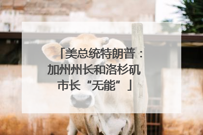 美总统特朗普：加州州长和洛杉矶市长“无能”