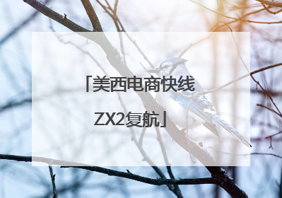 美西电商快线ZX2复航