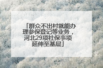群众不出村就能办理参保登记等业务，河北29项社保事项延伸至基层