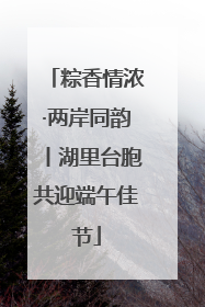 粽香情浓·两岸同韵丨湖里台胞共迎端午佳节