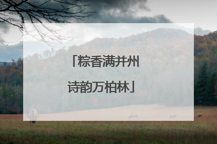 粽香满并州 诗韵万柏林