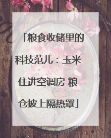 粮食收储里的科技范儿：玉米住进空调房 粮仓披上隔热罩