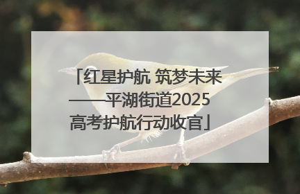 红星护航 筑梦未来——平湖街道2025高考护航行动收官