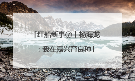 红船新事⑦丨杨海龙：我在嘉兴育良种