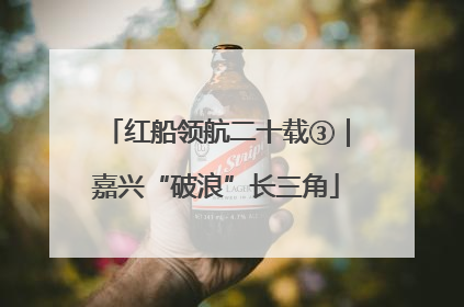 红船领航二十载③｜嘉兴“破浪”长三角