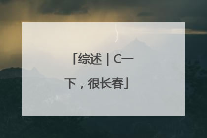 综述｜C一下，很长春
