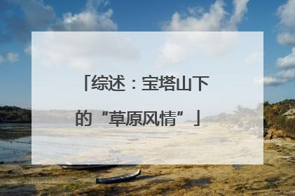 综述：宝塔山下的“草原风情”