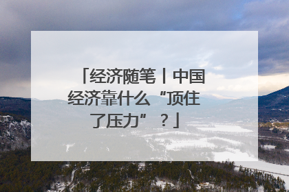 经济随笔丨中国经济靠什么“顶住了压力”？