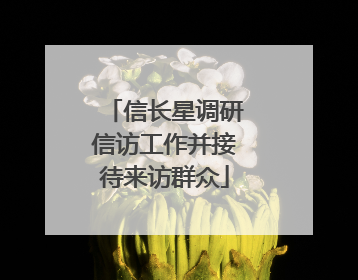 信长星调研信访工作并接待来访群众
