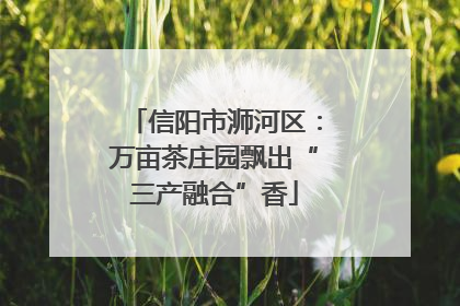信阳市浉河区：万亩茶庄园飘出“三产融合”香