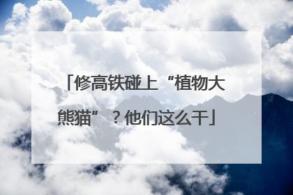 修高铁碰上“植物大熊猫”？他们这么干