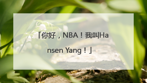你好，NBA！我叫Hansen Yang！