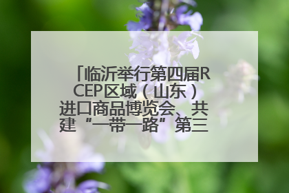 临沂举行第四届RCEP区域（山东）进口商品博览会、共建“一带一路”第三届临沂商城国际采购商大会新闻发布会