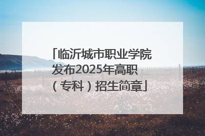 临沂城市职业学院发布2025年高职（专科）招生简章