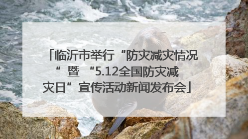 临沂市举行“防灾减灾情况”暨 “5.12全国防灾减灾日”宣传活动新闻发布会