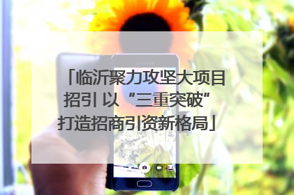 临沂聚力攻坚大项目招引 以“三重突破”打造招商引资新格局