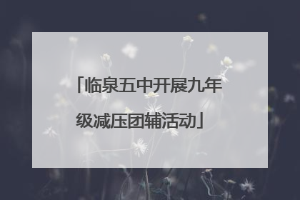 临泉五中开展九年级减压团辅活动