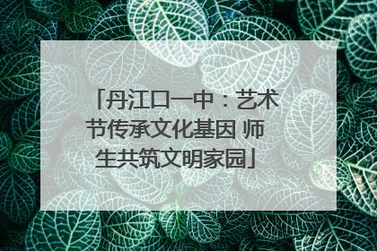 丹江口一中：艺术节传承文化基因 师生共筑文明家园
