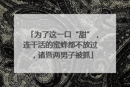 为了这一口“甜”，连干活的蜜蜂都不放过，诸暨两男子被抓