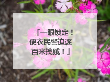 一眼锁定！便衣民警追逐百米擒贼！