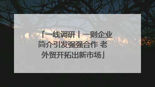 一线调研丨一则企业简介引发强强合作 老外贸开拓出新市场