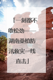 一刻都不敢松劲——湖南桑植防汛救灾一线直击