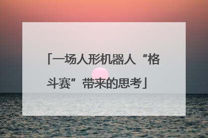 一场人形机器人“格斗赛”带来的思考