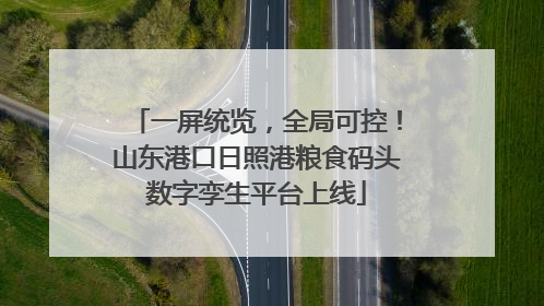 一屏统览，全局可控！山东港口日照港粮食码头数字孪生平台上线