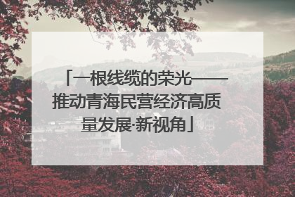 一根线缆的荣光——推动青海民营经济高质量发展·新视角