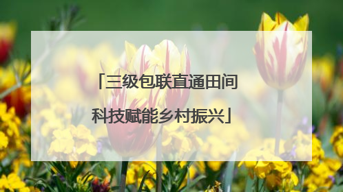 三级包联直通田间 科技赋能乡村振兴