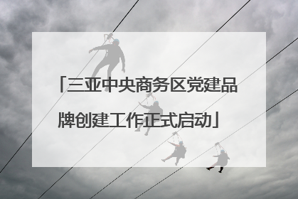 三亚中央商务区党建品牌创建工作正式启动